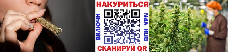 Купить наркотик Жуковка Кокаин  гидра зеркало  Псилоцибиновые грибы  Гашиш  Альфа ПВП 